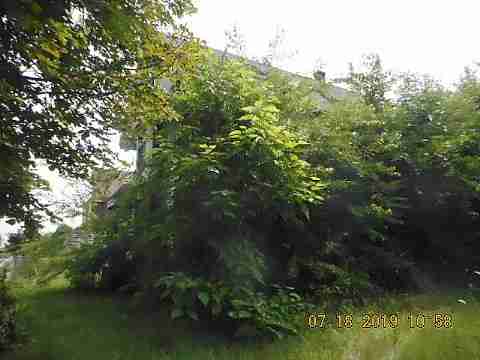 3394 Benson (8)_m.jpg